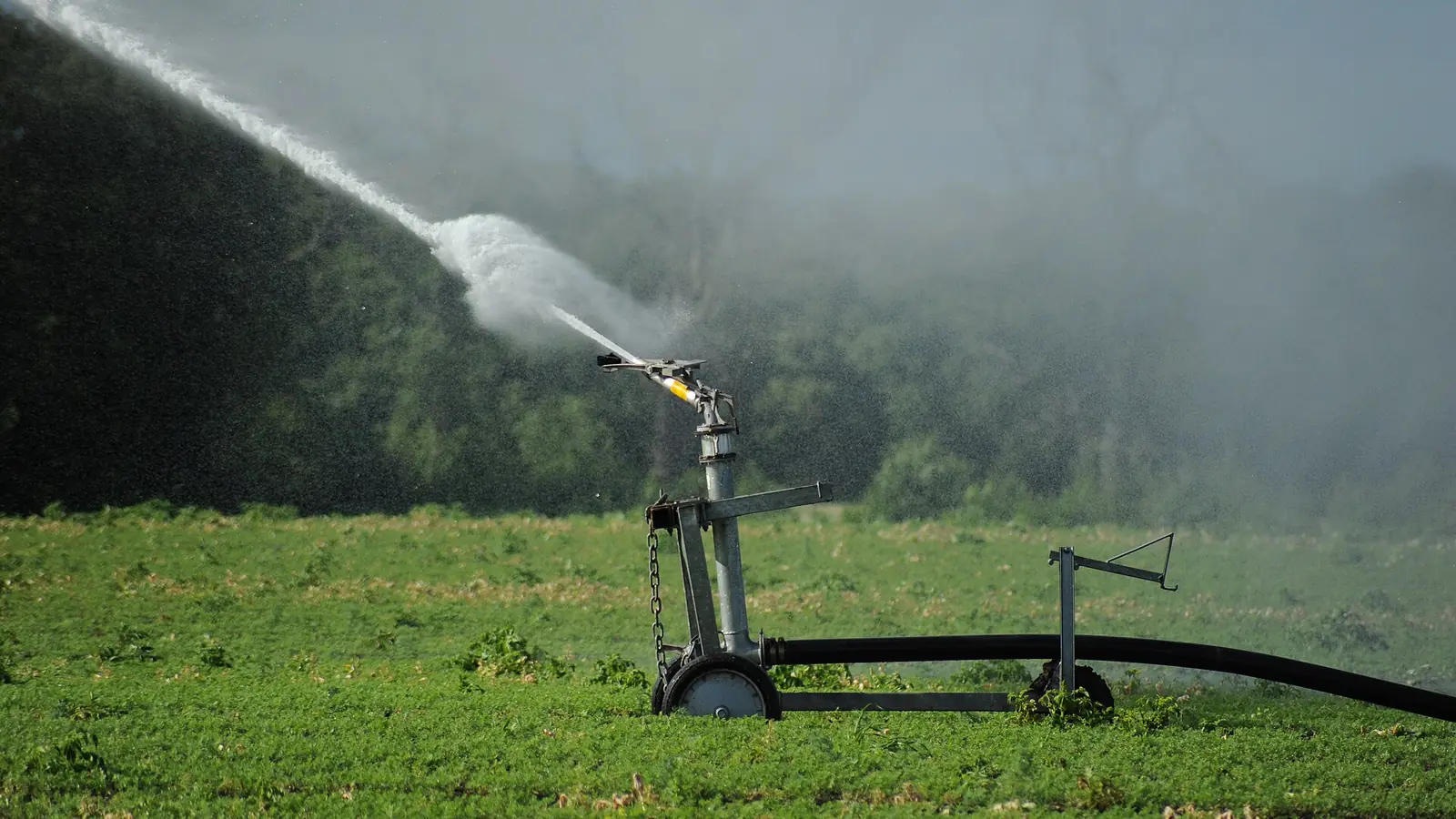 Field irrigation machine spraying water over open farmland
