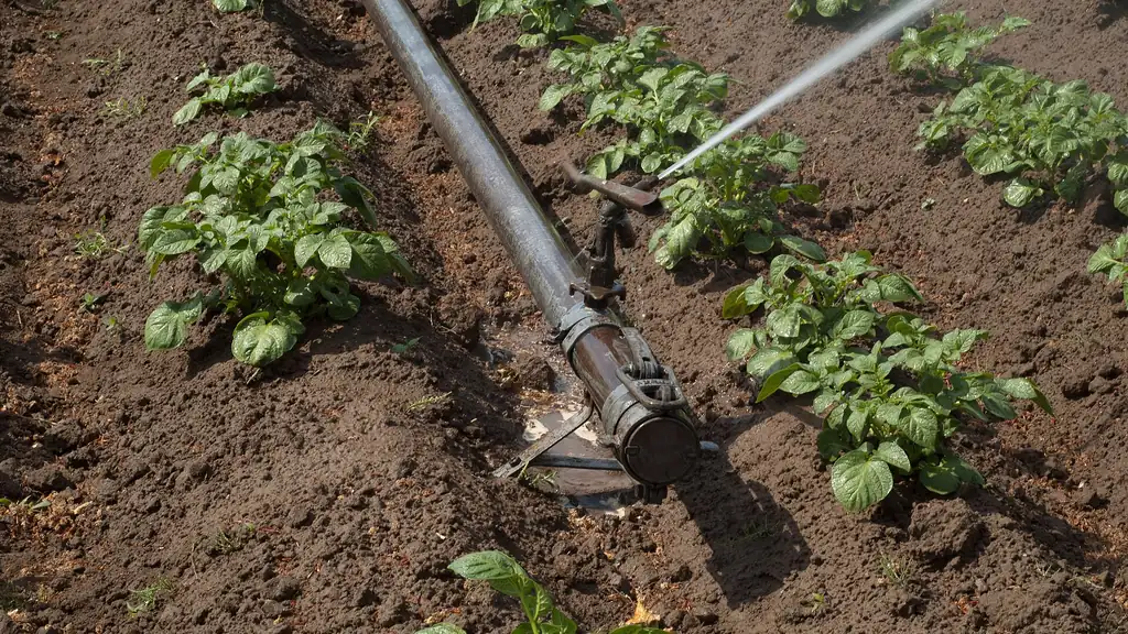 Sprinkler riser and end fitting on a crop ridge