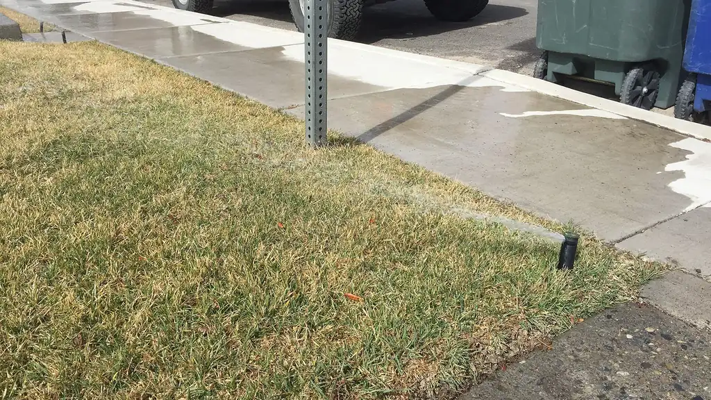 Pop-up sprinkler watering a roadside lawn