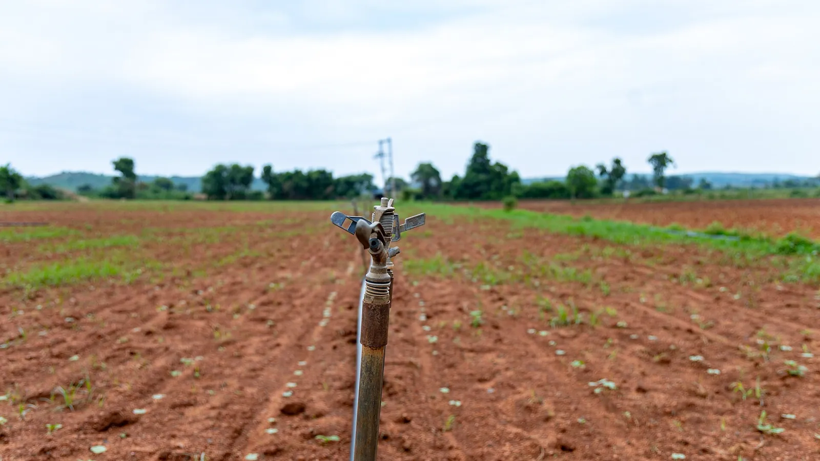 Metal pop-up spray head standing in tilled soil