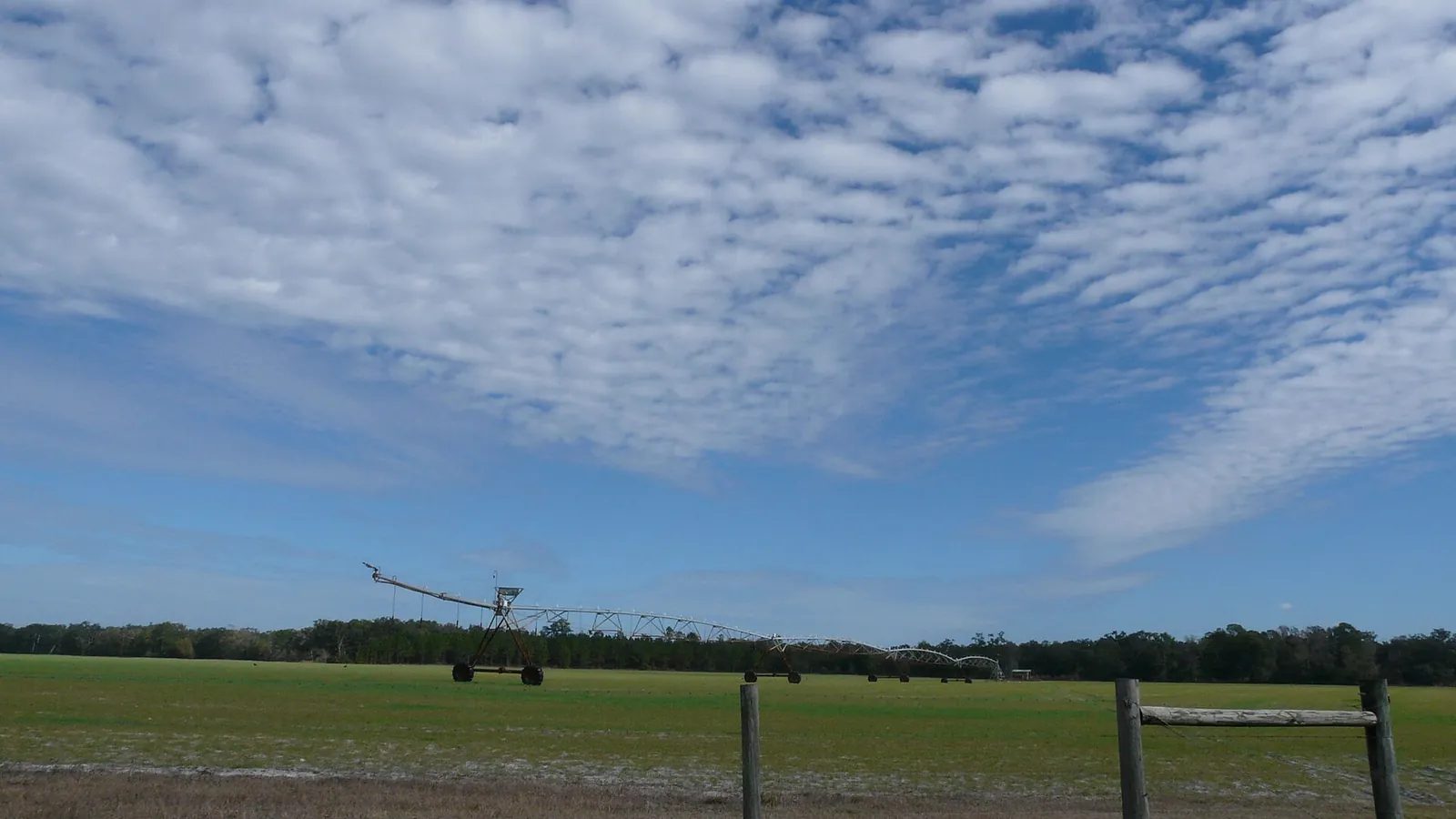 Wide pasture with a center pivot on the horizon