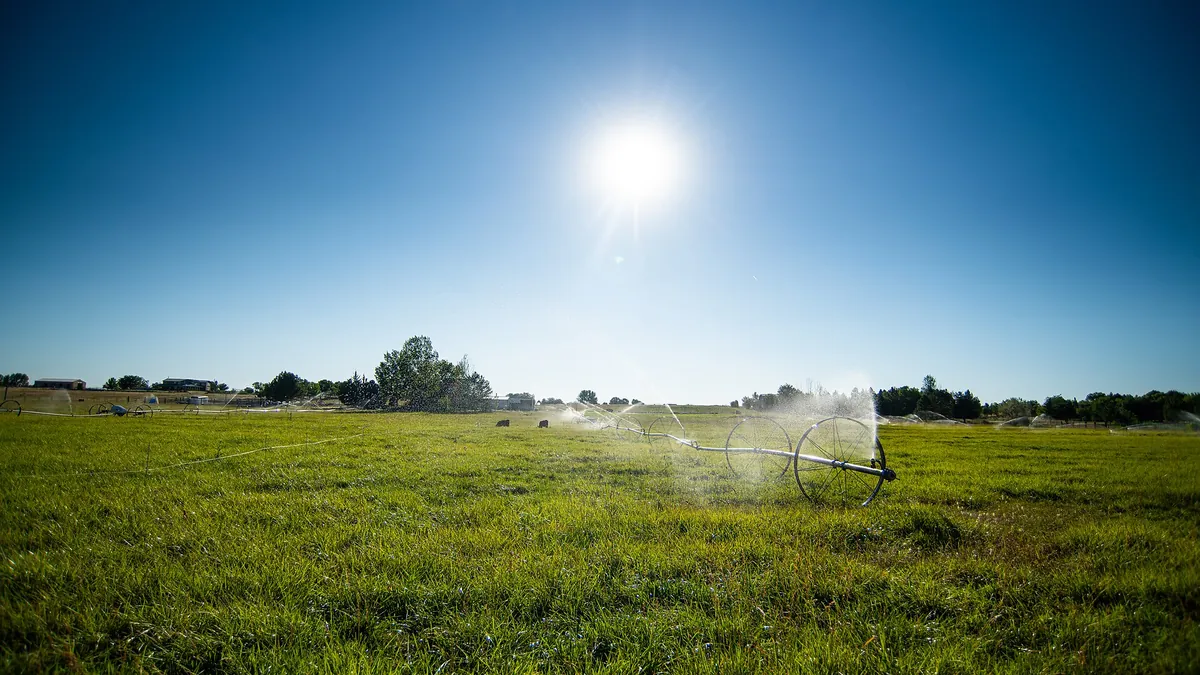 Sprinkler head spraying grass in bright sunlight