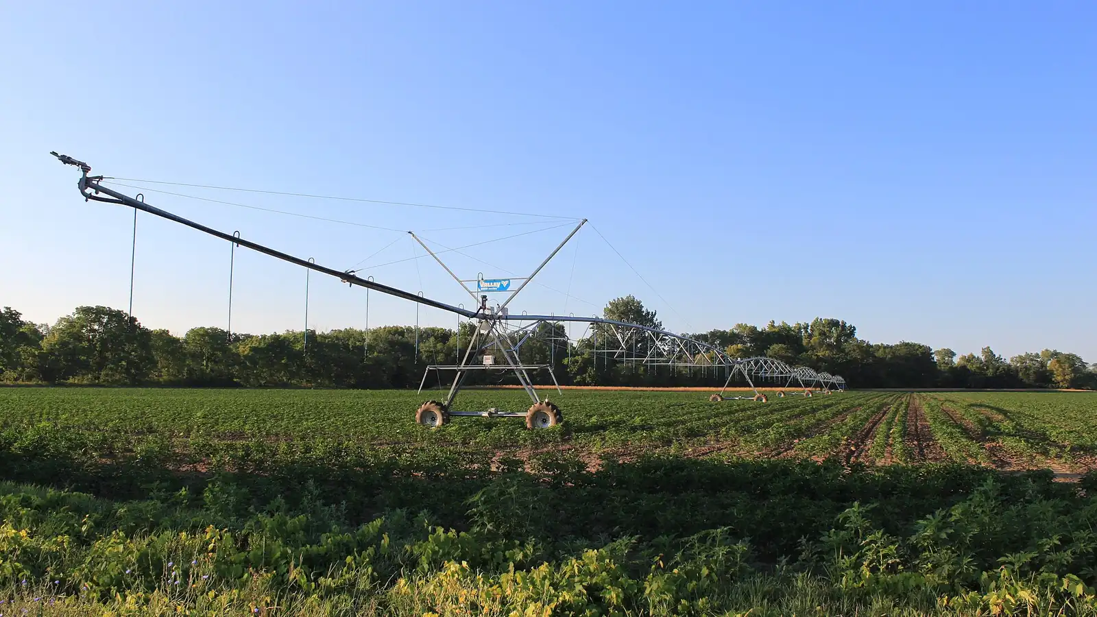 Center pivot sprinkler crossing a soybean field