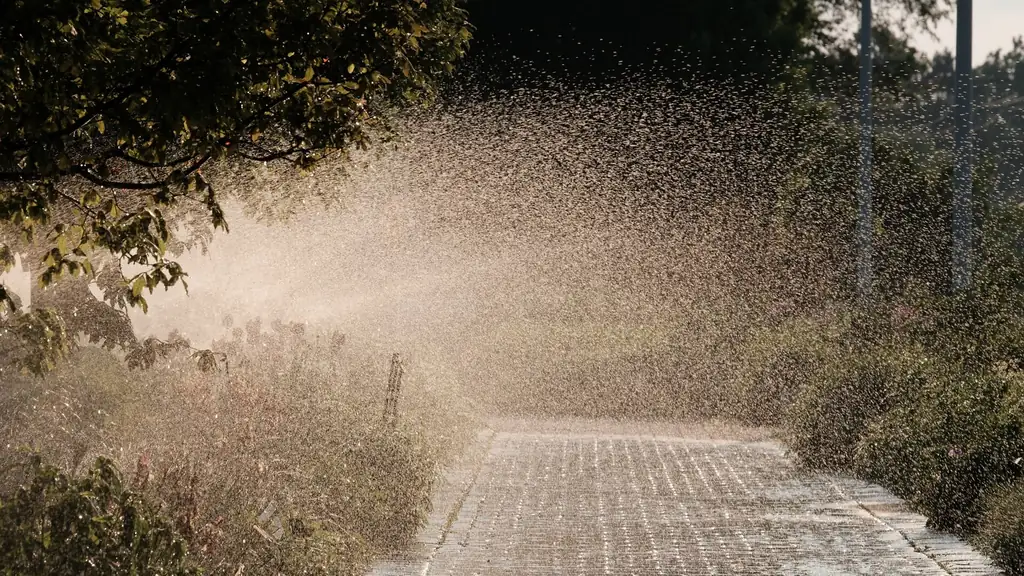 Morning sprinkler mist backlit over a paved walkway